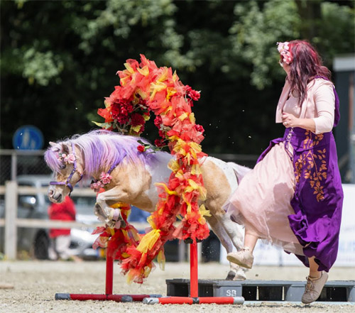 Showteam Honey en Beauty